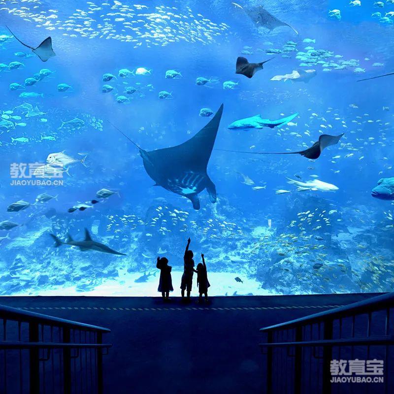 如何通过篮球训练中的反馈提高技能水平_0